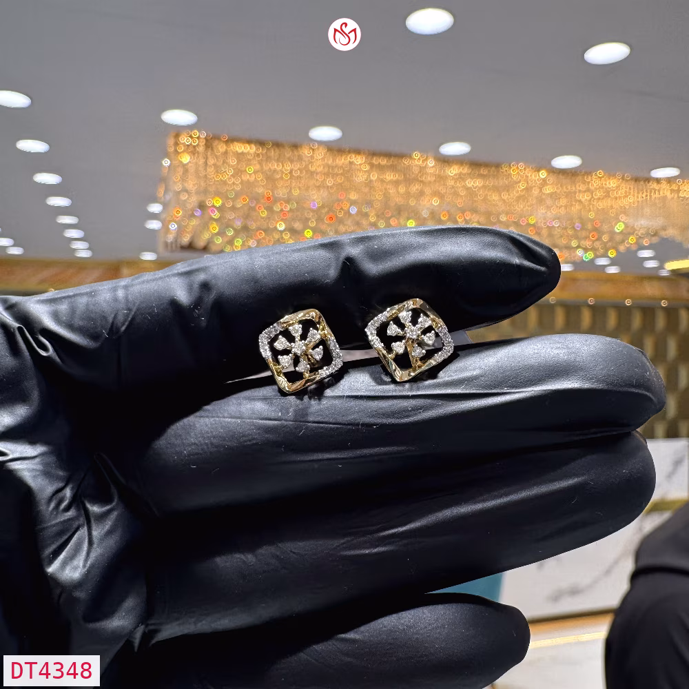 Diamond Women Earring - DT4348