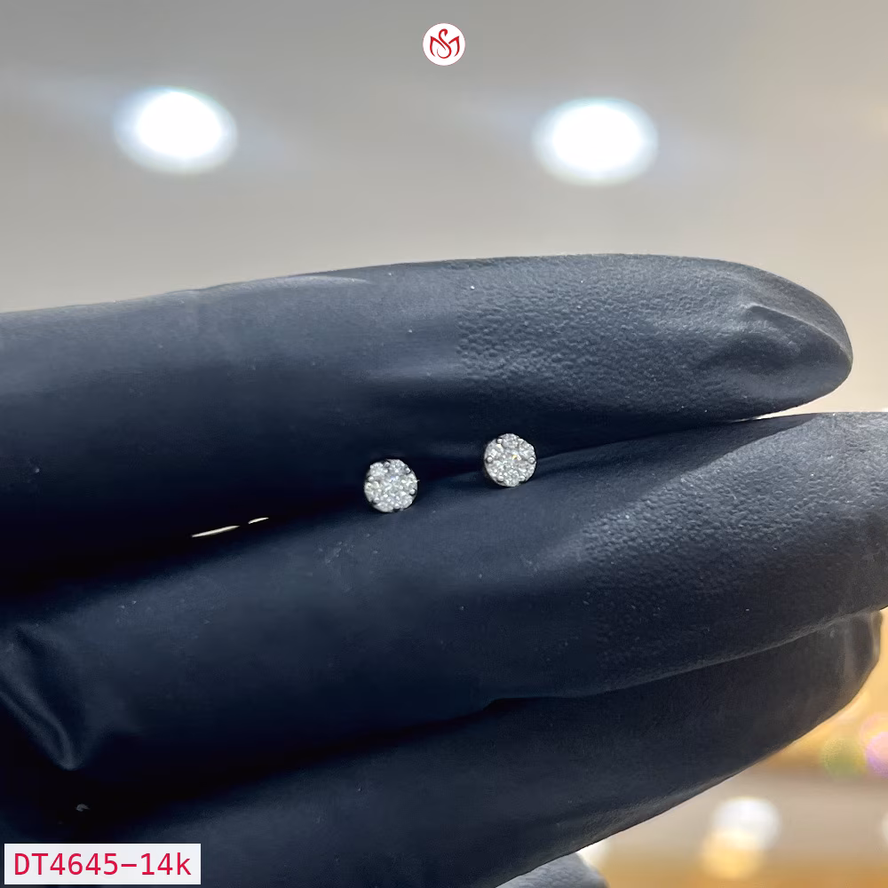 Diamond Women Earring - DT4645