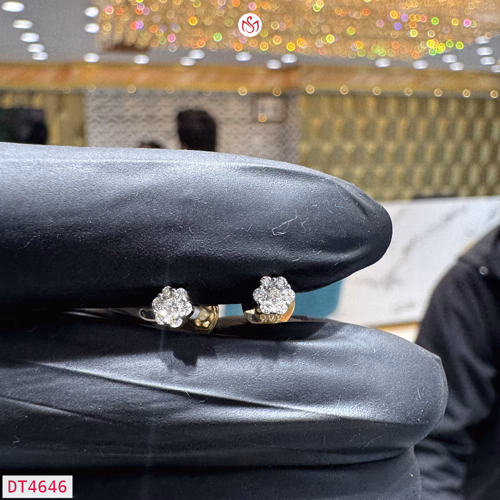 Diamond Women Earring - DT4646