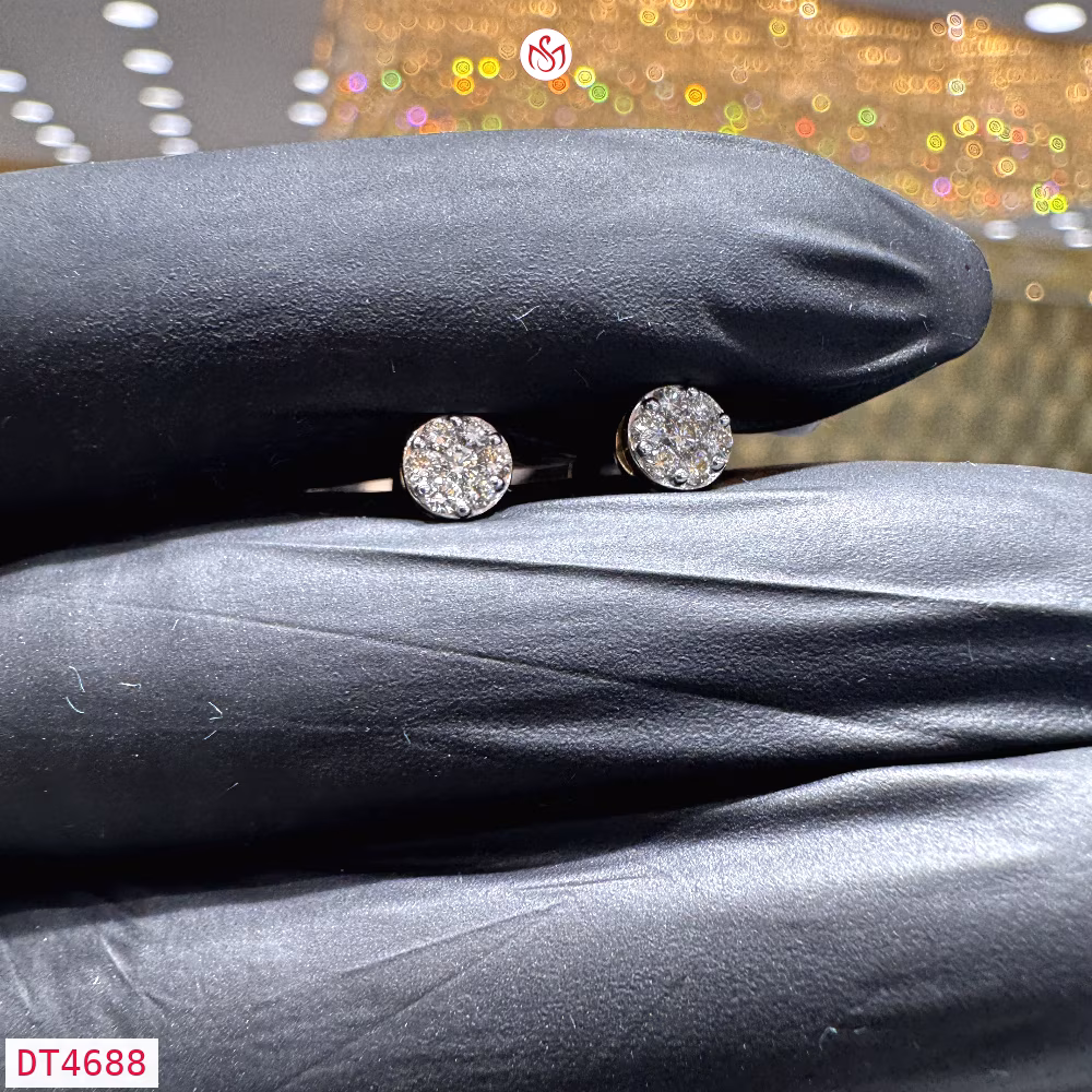 Diamond Women Earring - DT4688