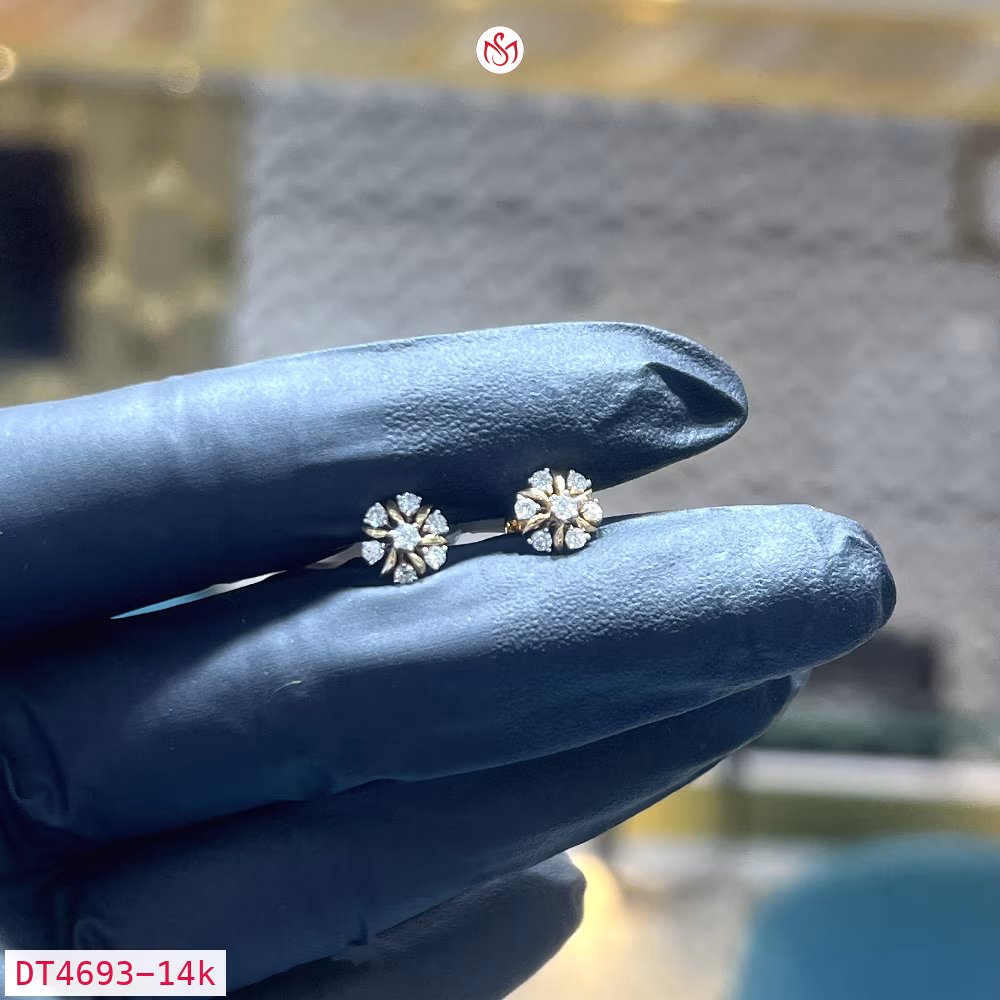 Diamond Women Earring - DT4693