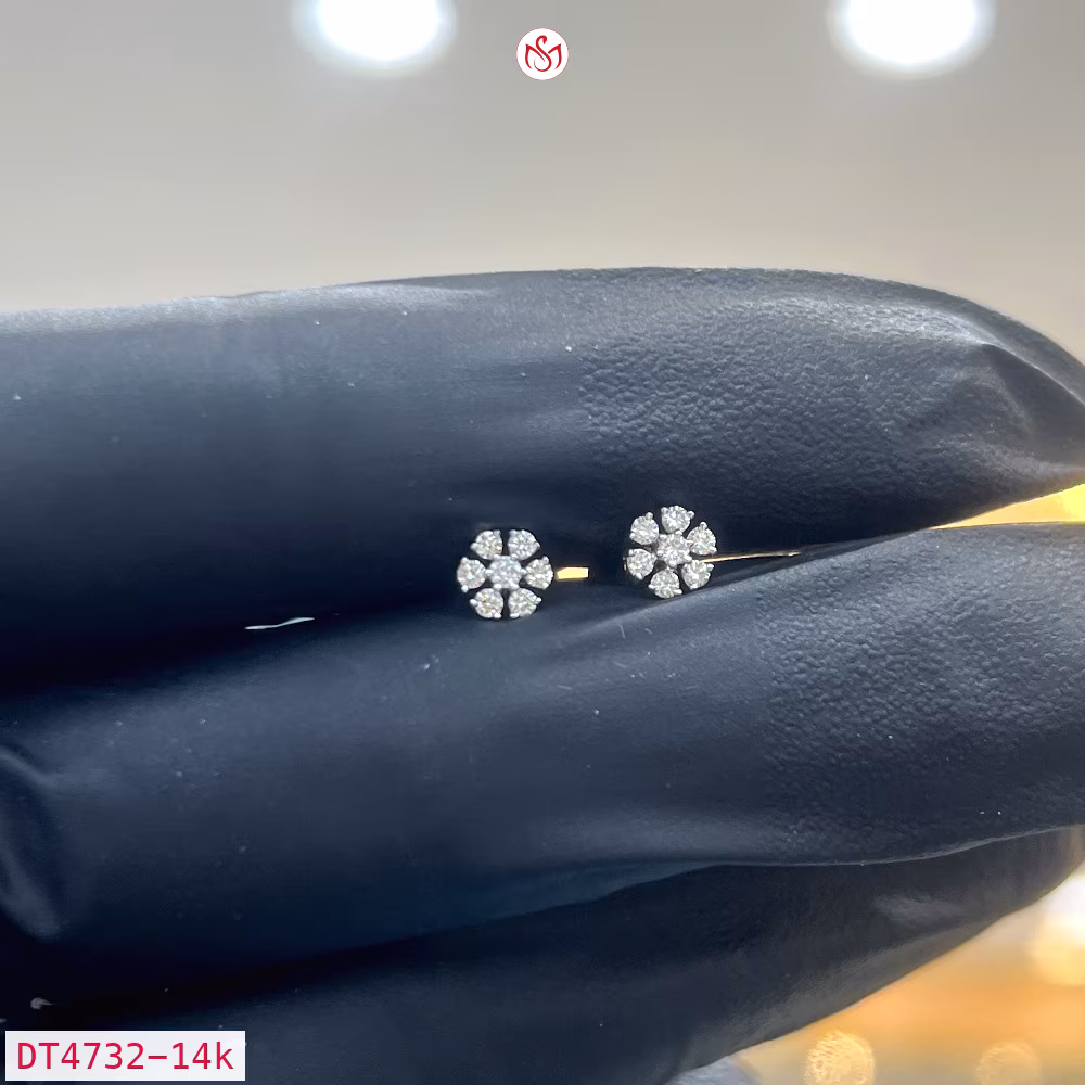 Diamond Women Earring - DT4732