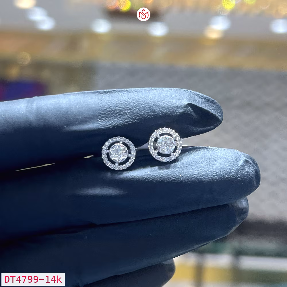 Diamond Women Earring - DT4799