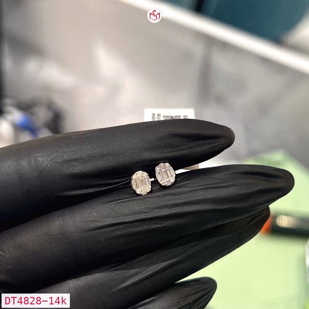 Diamond Women Earring - DT4828