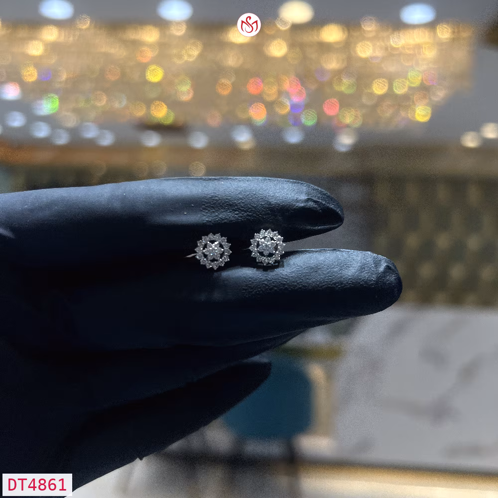 Diamond Women Earring - DT4861