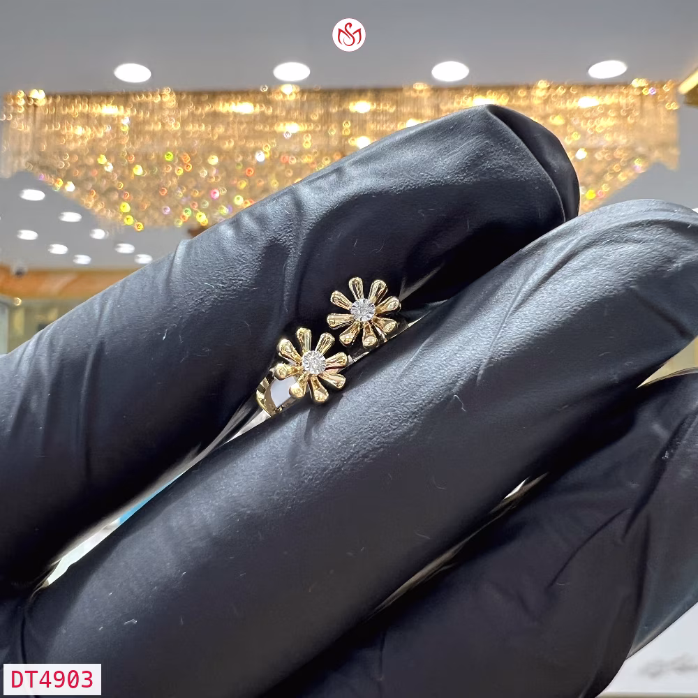 Diamond Women Earring - DT4903