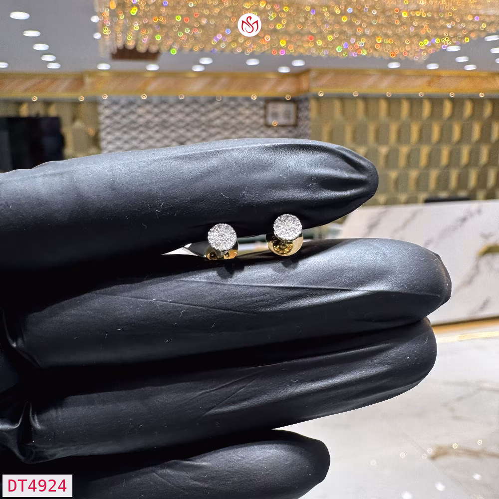 Diamond Women Earring - DT4924