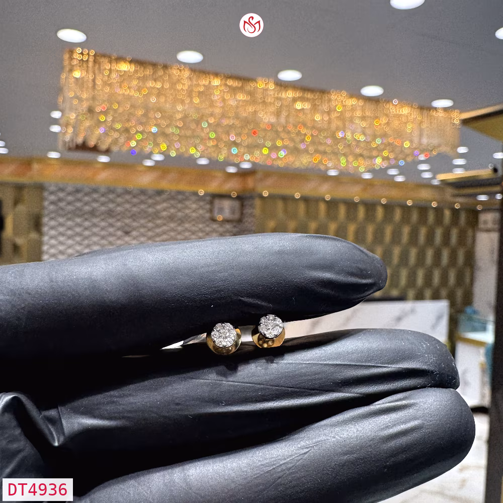 Diamond Women Earring - DT4936