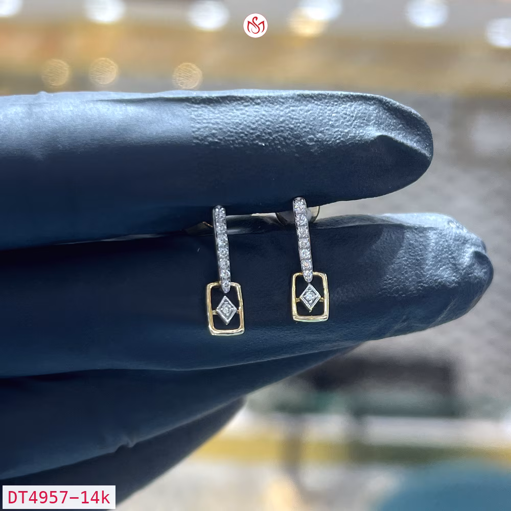 Diamond Women Earring - DT4957