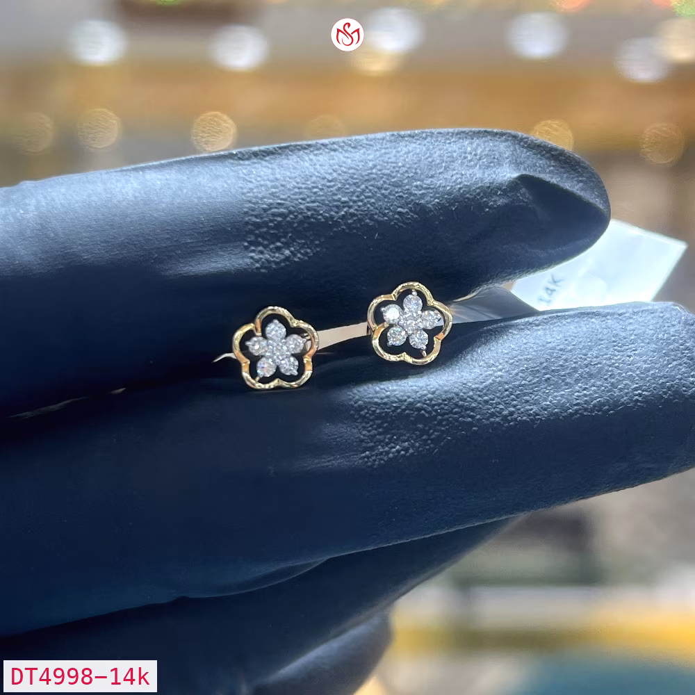 Diamond Women Earring - DT4998