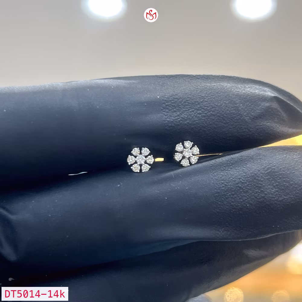 Diamond Women Earring - DT5014