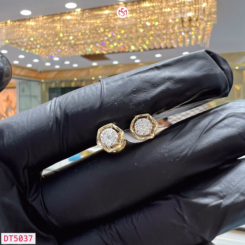 Diamond Women Earring - DT5037