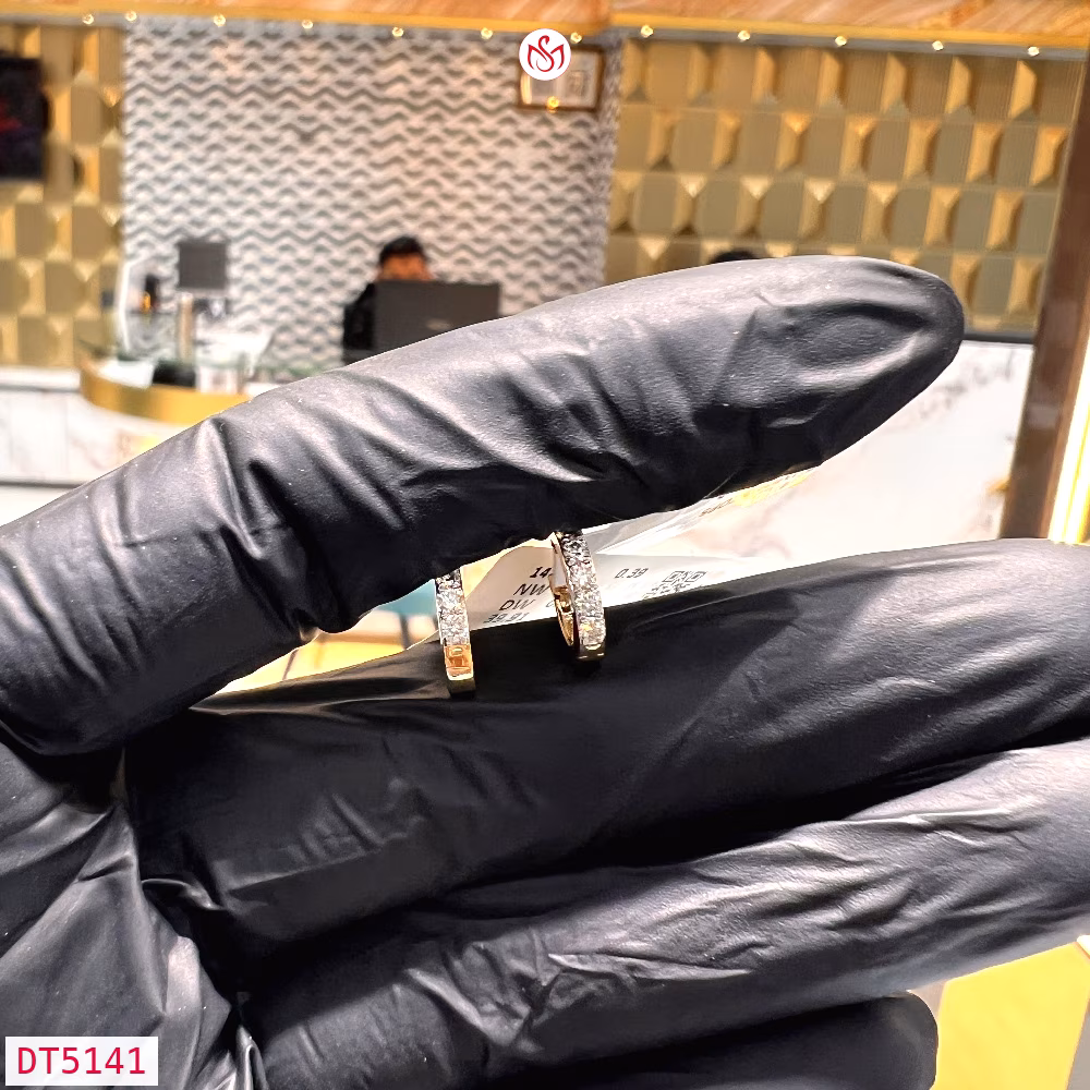 Diamond Women Earring - DT5141