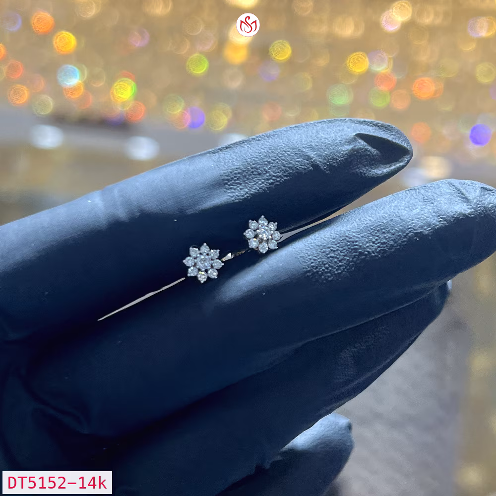 Diamond Women Earring - DT5152