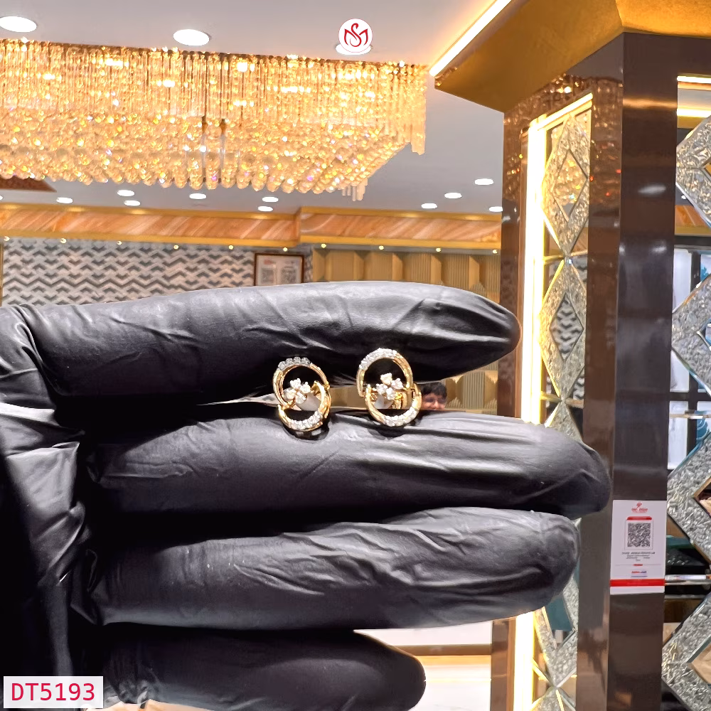 Diamond Women Earring - DT5193