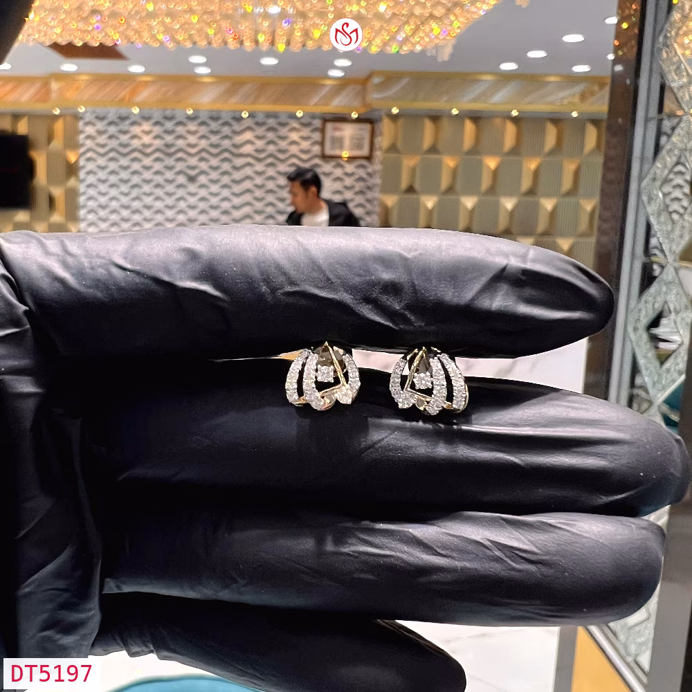 Diamond Women Earring - DT5197