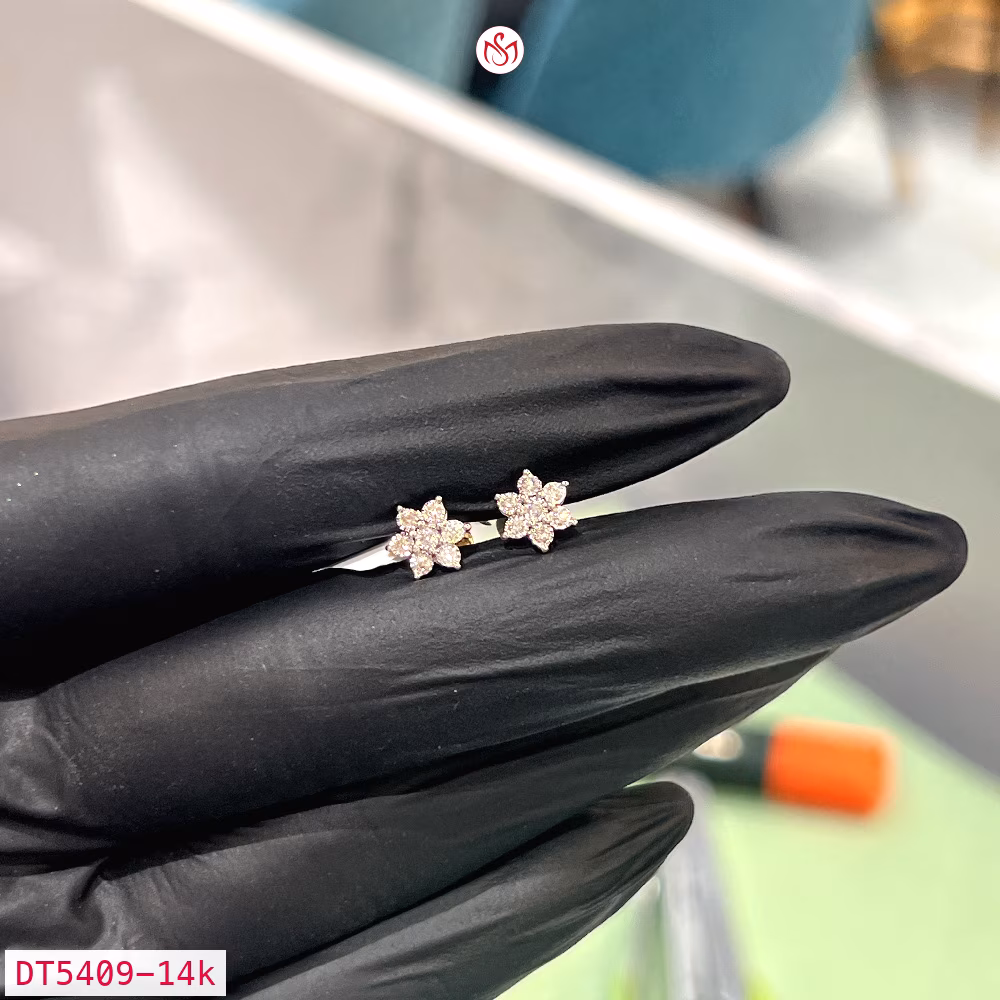 Diamond Women Earring - DT5409