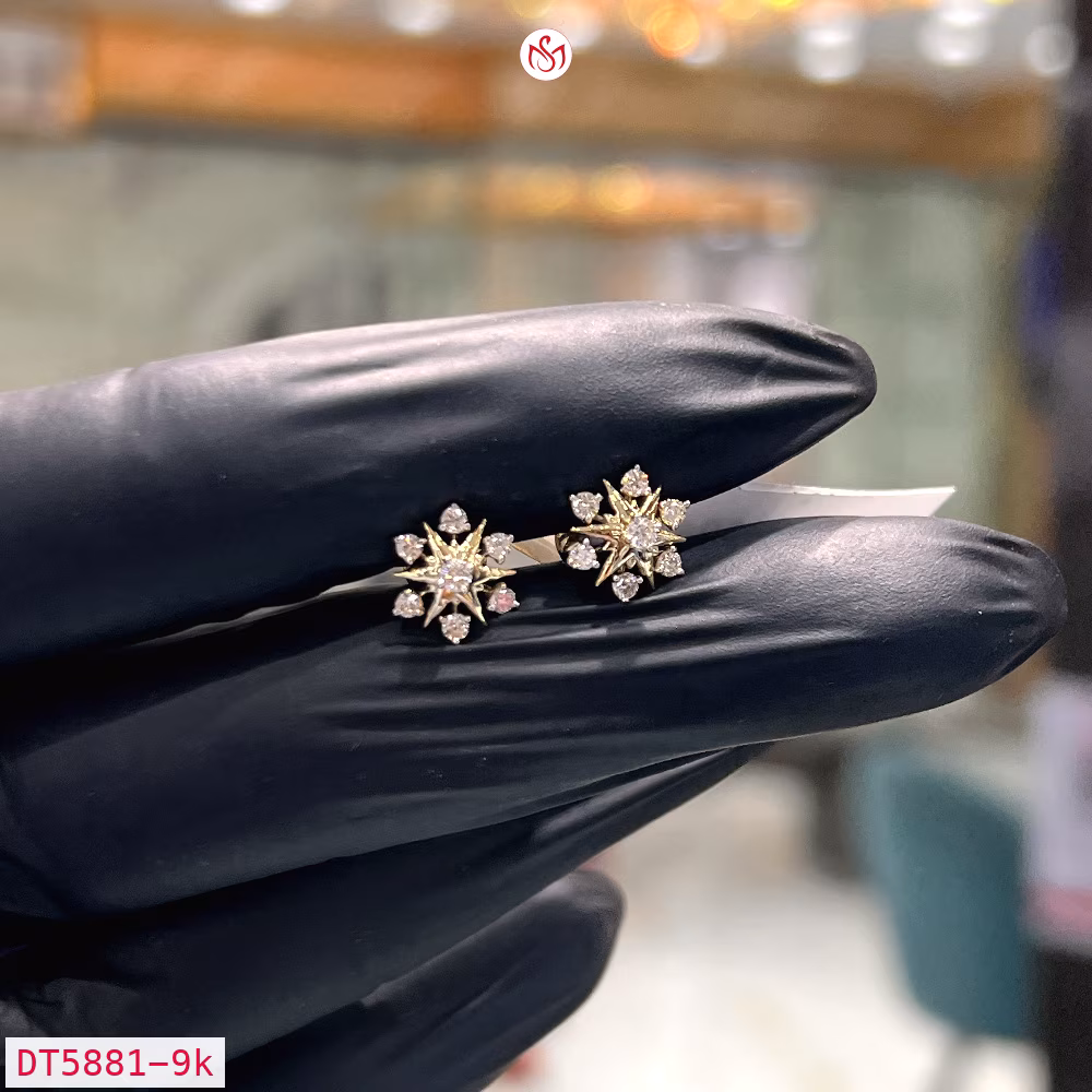 Diamond Women Earring - DT5881