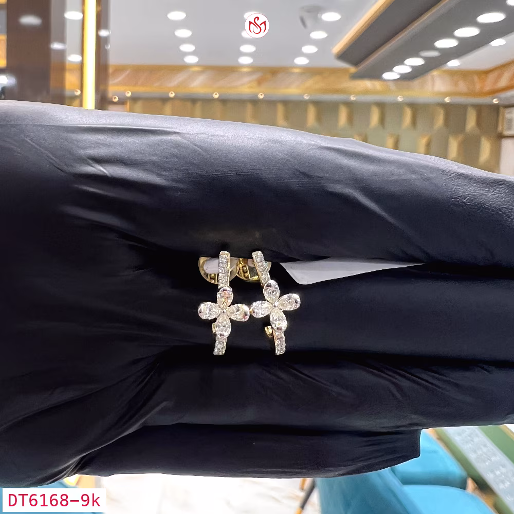 Diamond Women Earring - DT6168