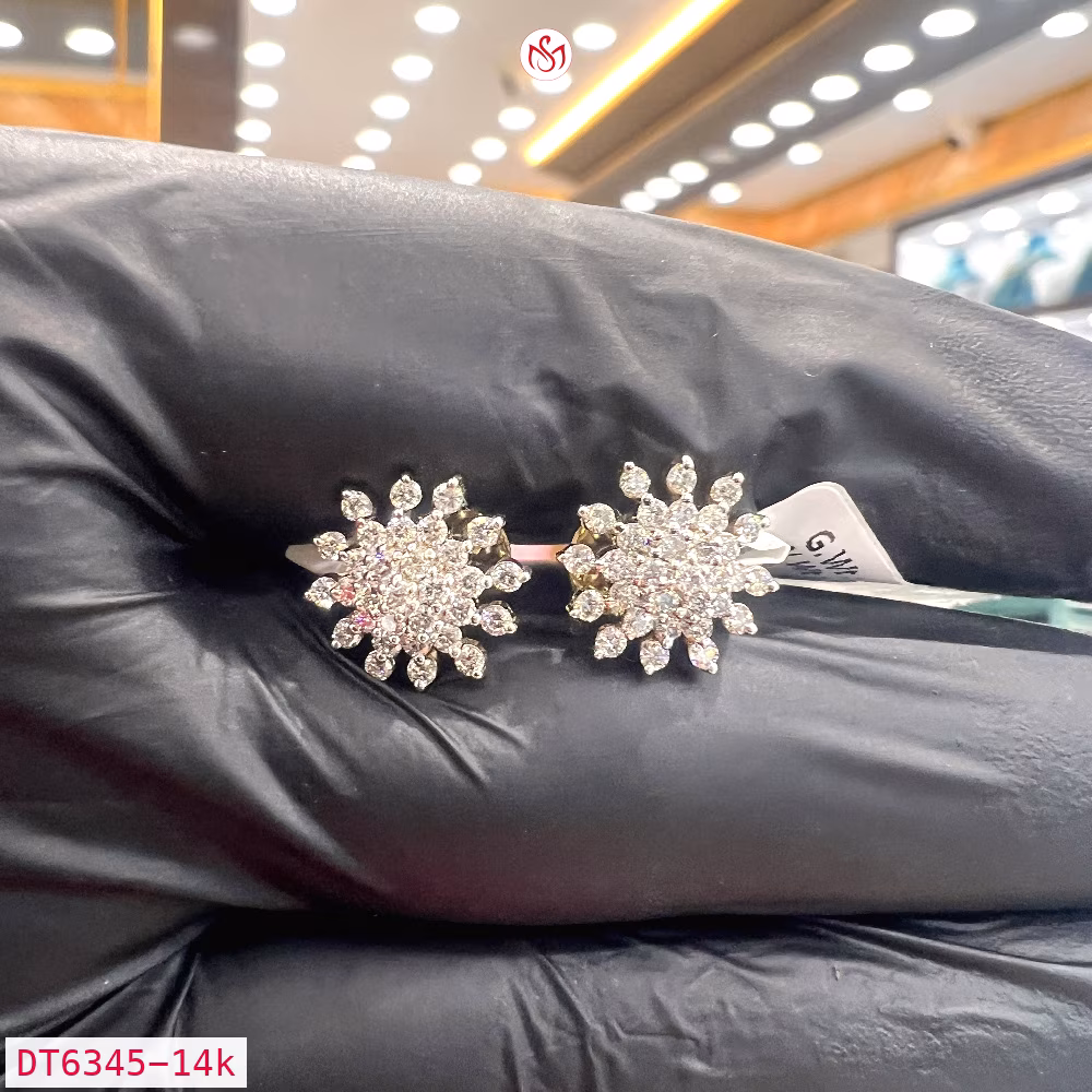 Diamond Women Earring - DT6345