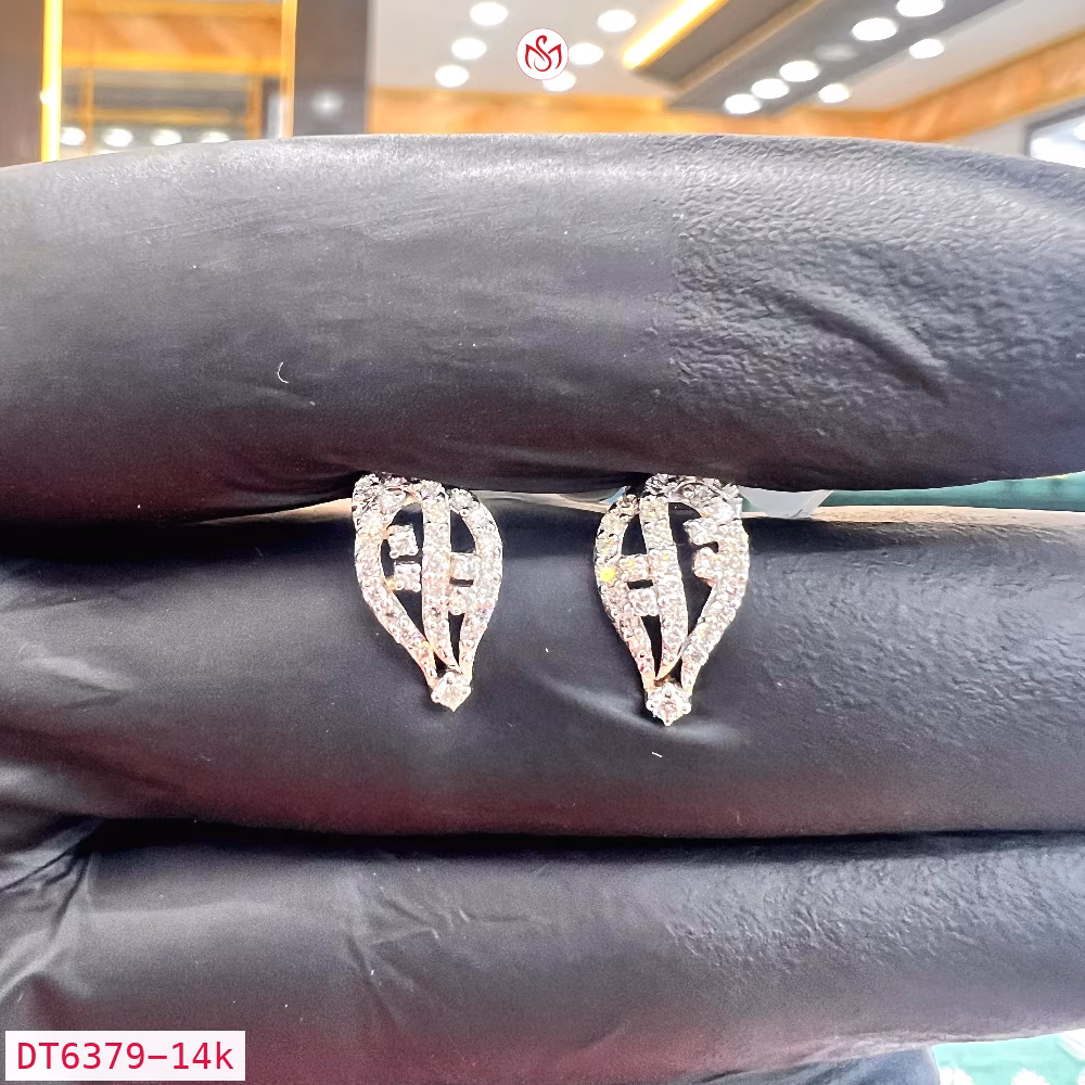 Diamond Women Earring - DT6379